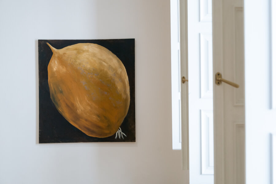 Terapie venkovem, foto Jan Prokopius